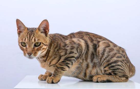  保险销售暗藏隐忧；特药卡与CAR-T卡并非保障产品；监管部门及时出手规范。 新闻