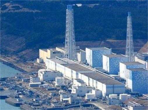  生态边界的隐形挑战：水母入侵核电站背后的系统性启示 IT技术