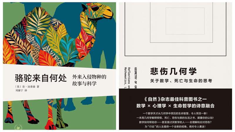  生态边界的隐形挑战：水母入侵核电站背后的系统性启示 IT技术