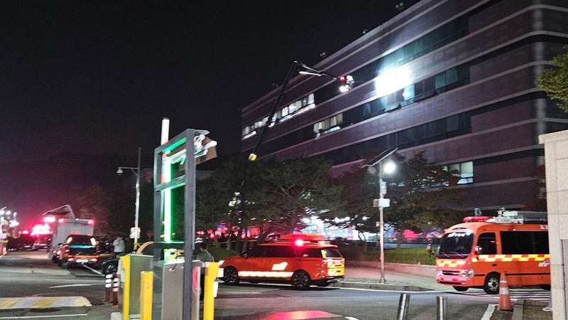  生态边界的隐形挑战：水母入侵核电站背后的系统性启示 IT技术