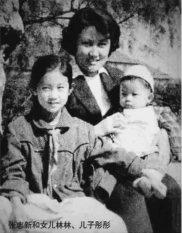  尘封往事的隐秘逻辑：透视烈士后代背后的生存选择权 新闻