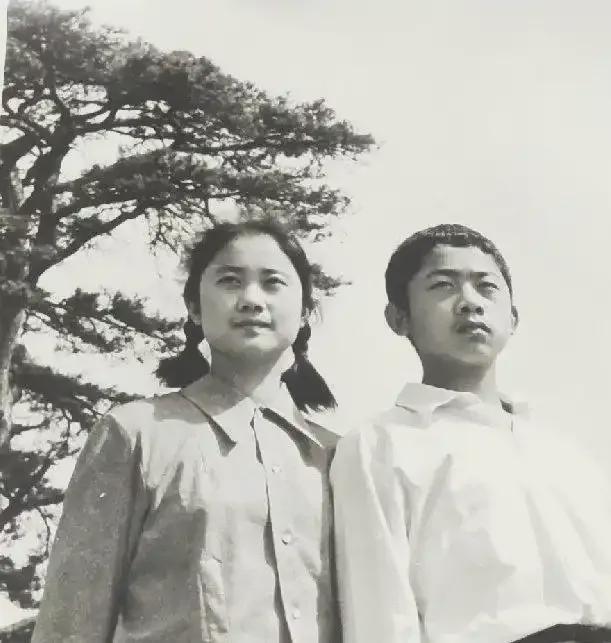  尘封往事的隐秘逻辑：透视烈士后代背后的生存选择权 新闻