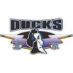  职业体育的战术韧性构建：从伤病困局看集体协作逻辑 体育新闻