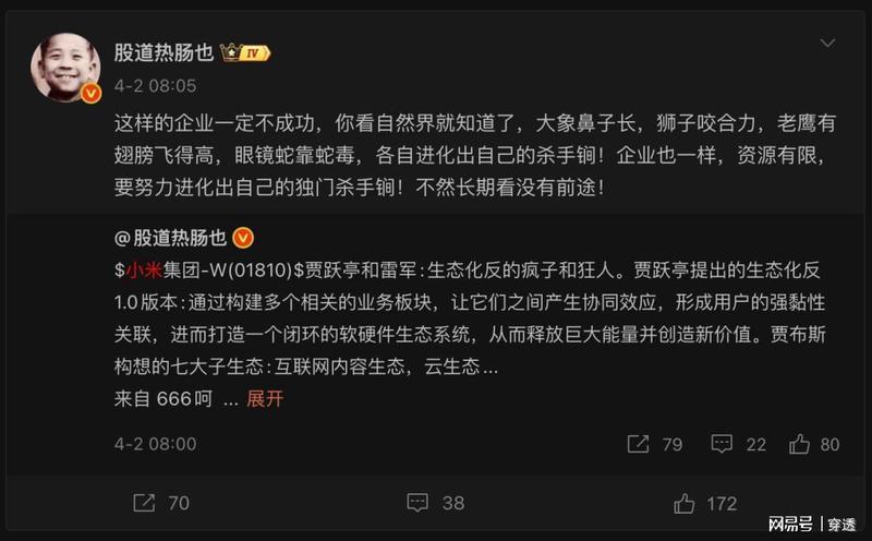  从“风口论”到多线作战：小米战略迷失背后的投资逻辑 股票财经