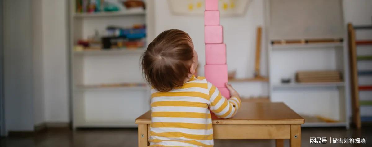  德国幼教系统结构性困境：12.5万岗位空缺的深层根源与系统性破解路径 教育招生