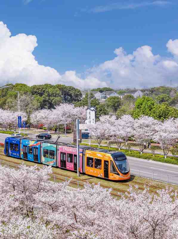  苏州赏樱六维数据报告：精准算法赋能春日出行决策 文化旅游