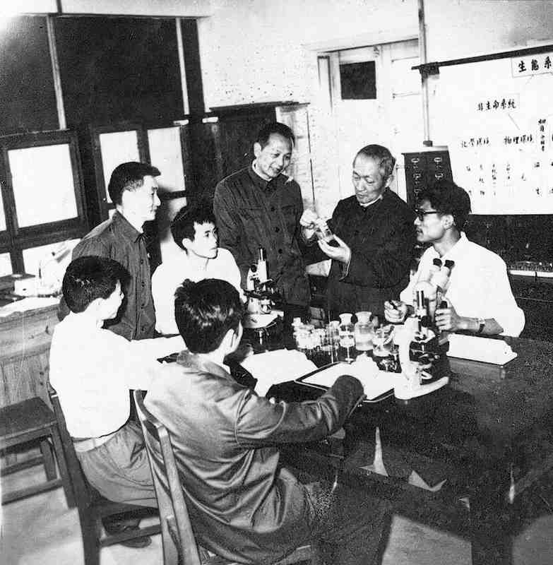  从「冯氏效应」看神经科学突破：一个25岁中国学者的实验方法论 新闻