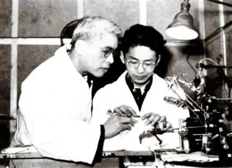  从「冯氏效应」看神经科学突破：一个25岁中国学者的实验方法论 新闻