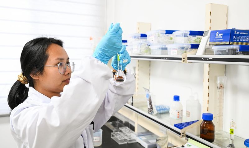  深度拆解：商保创新药目录落地的三重制度困境与破局路径 新闻