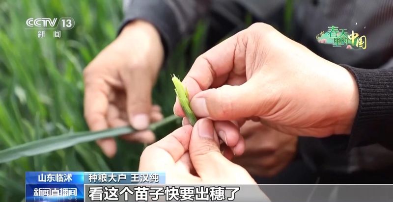  【技术深度】数据驱动农耕革命：临沭·韶关案例的方法论启示 IT技术