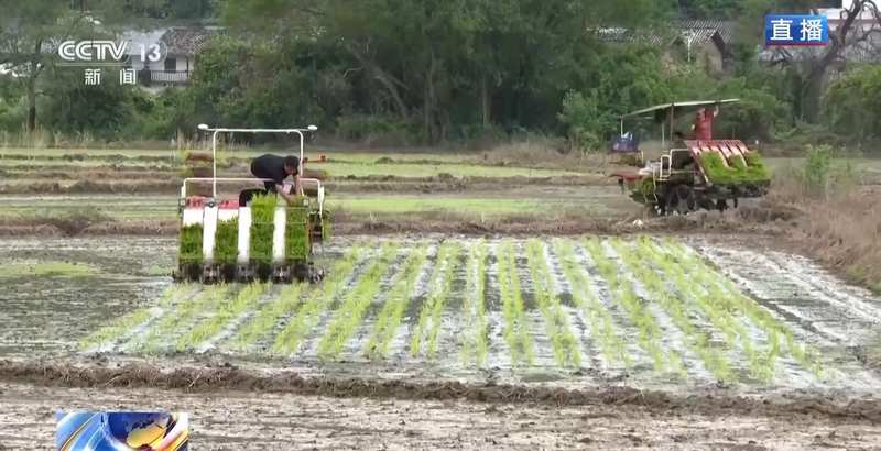  【技术深度】数据驱动农耕革命：临沭·韶关案例的方法论启示 IT技术