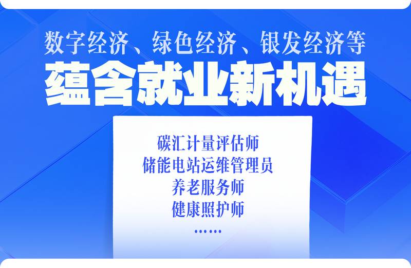  「十五五」人才战略解码：四大赛道揭示未来五年就业新格局 新闻