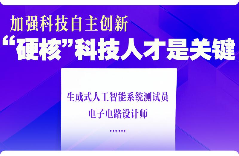  「十五五」人才战略解码：四大赛道揭示未来五年就业新格局 新闻