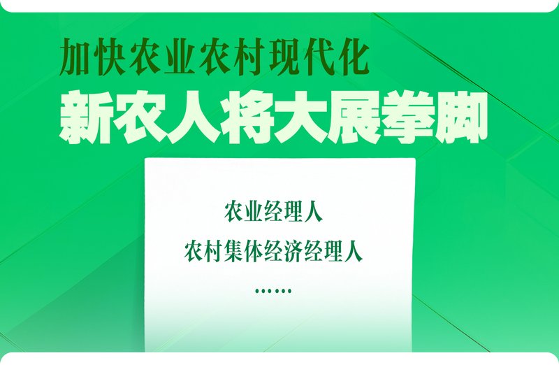  「十五五」人才战略解码：四大赛道揭示未来五年就业新格局 新闻