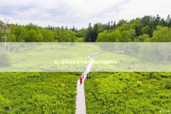 惊人连接速度提升用户体验的隐藏技巧 新闻