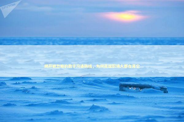 揭开被忽略的数字沟通防线，为何高端职场人都在用它 IT技术