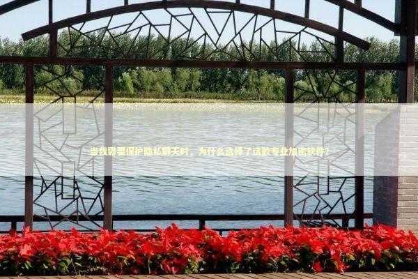 当我需要保护隐私聊天时，为什么选择了这款专业加密软件？