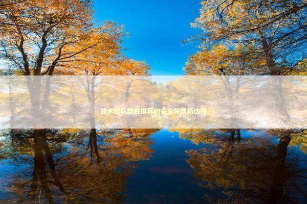 技术团队都在推荐的安全管理新选择