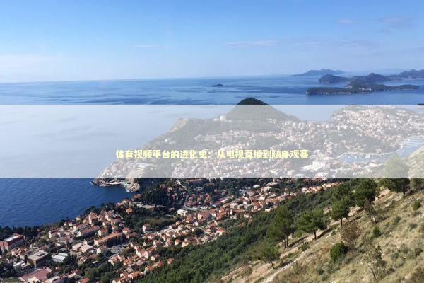 体育视频平台的进化史：从电视直播到随身观赛