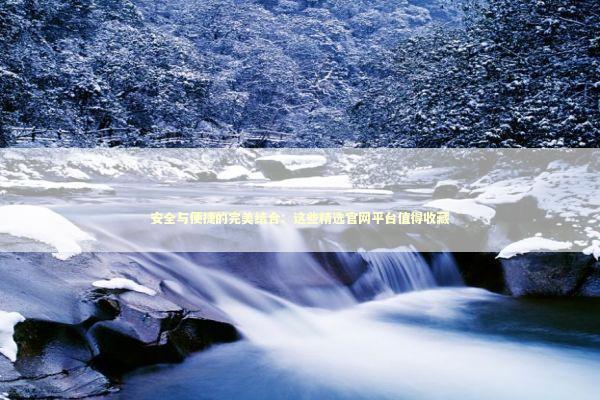 安全与便捷的完美结合：这些精选官网平台值得收藏 IT技术