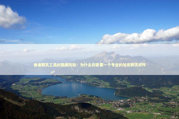 普通聊天工具的隐藏风险：为什么你需要一个专业的加密聊天软件 IT技术