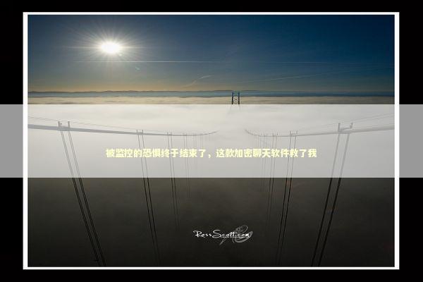 被监控的恐惧终于结束了，这款加密聊天软件救了我 IT技术