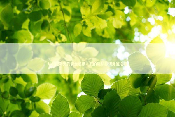 从普通聊天到安全通讯：我的隐私意识觉醒之路 IT技术