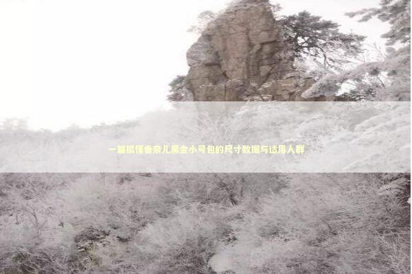 一篇搞懂香奈儿黑金小号包的尺寸数据与适用人群 时尚用品